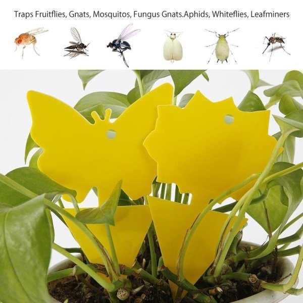 50-pack Insektsfångare - Flugfälla - Söta och Effektiva FJÄRILAR.